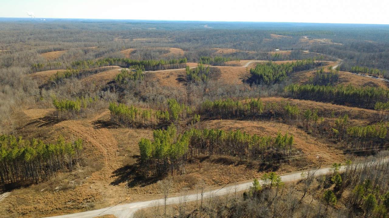 45 Saddleback Dr - Photo 1