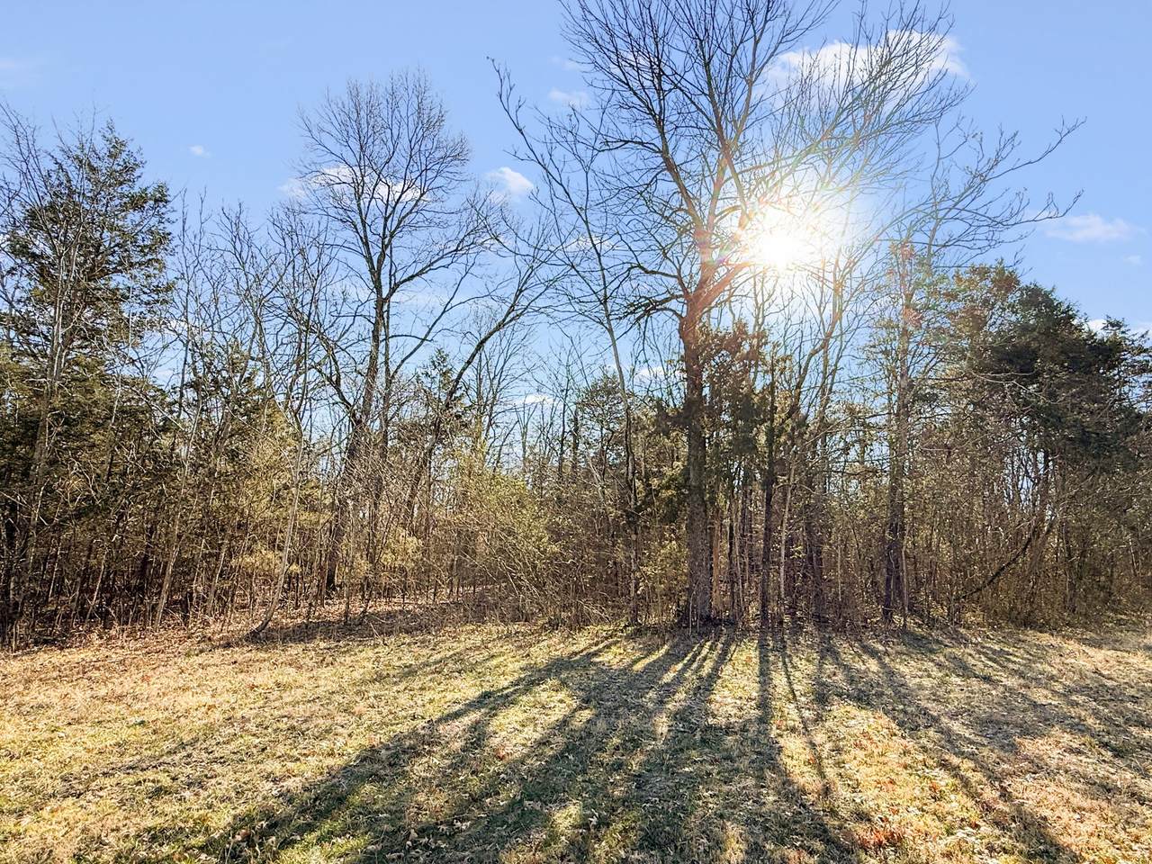 0 Warner Bridge Rd - Photo 1