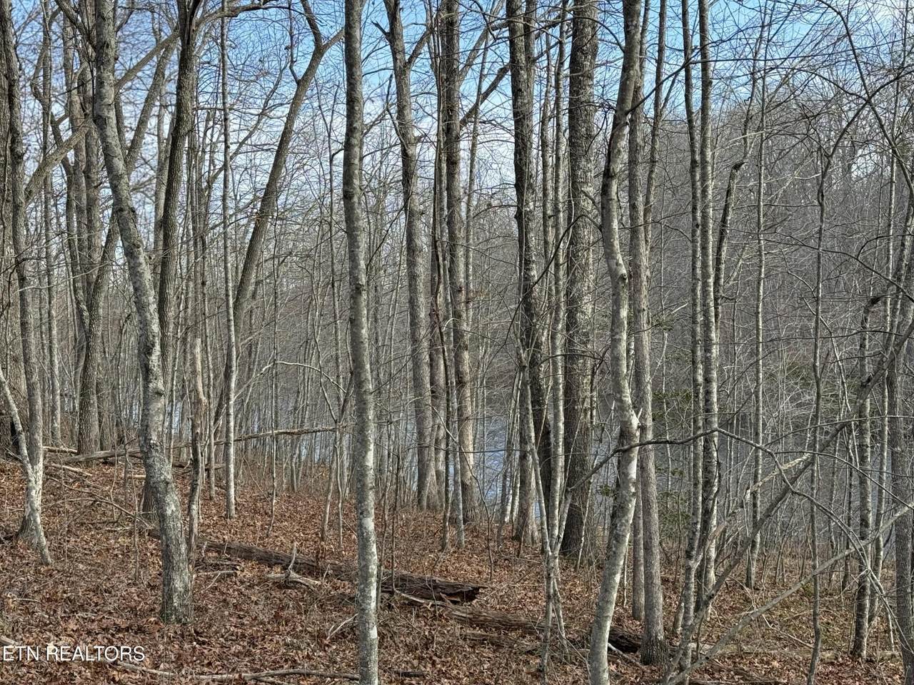 0 Crystal Point - Photo 1