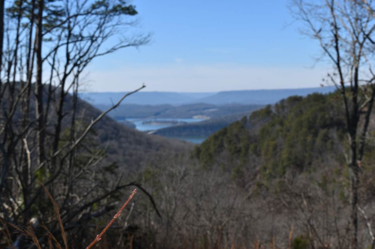 0 Birds Eye Way - Photo 1