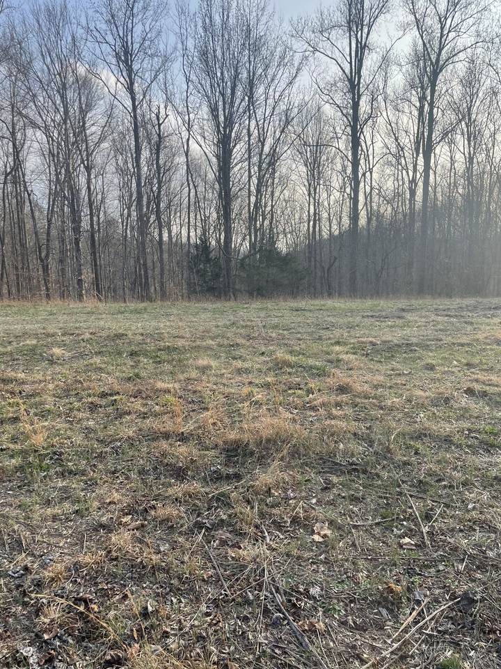 0 Sugar Tree Knob Rd - Photo 1