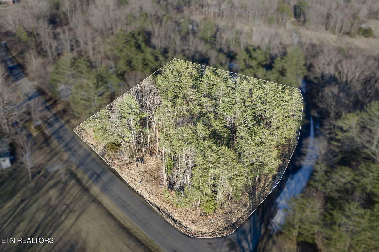 0 Old Highway 28 - Photo 1