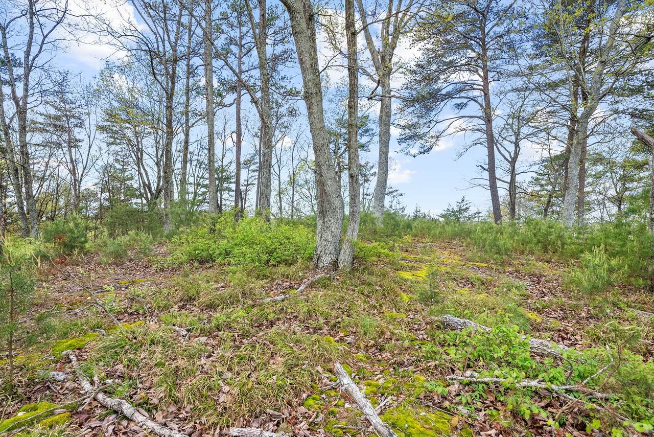 81 Crest Ct - Photo 1