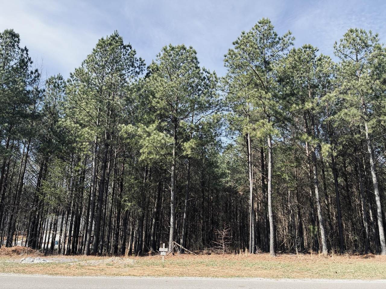 3290 Crockett Point - Photo 1