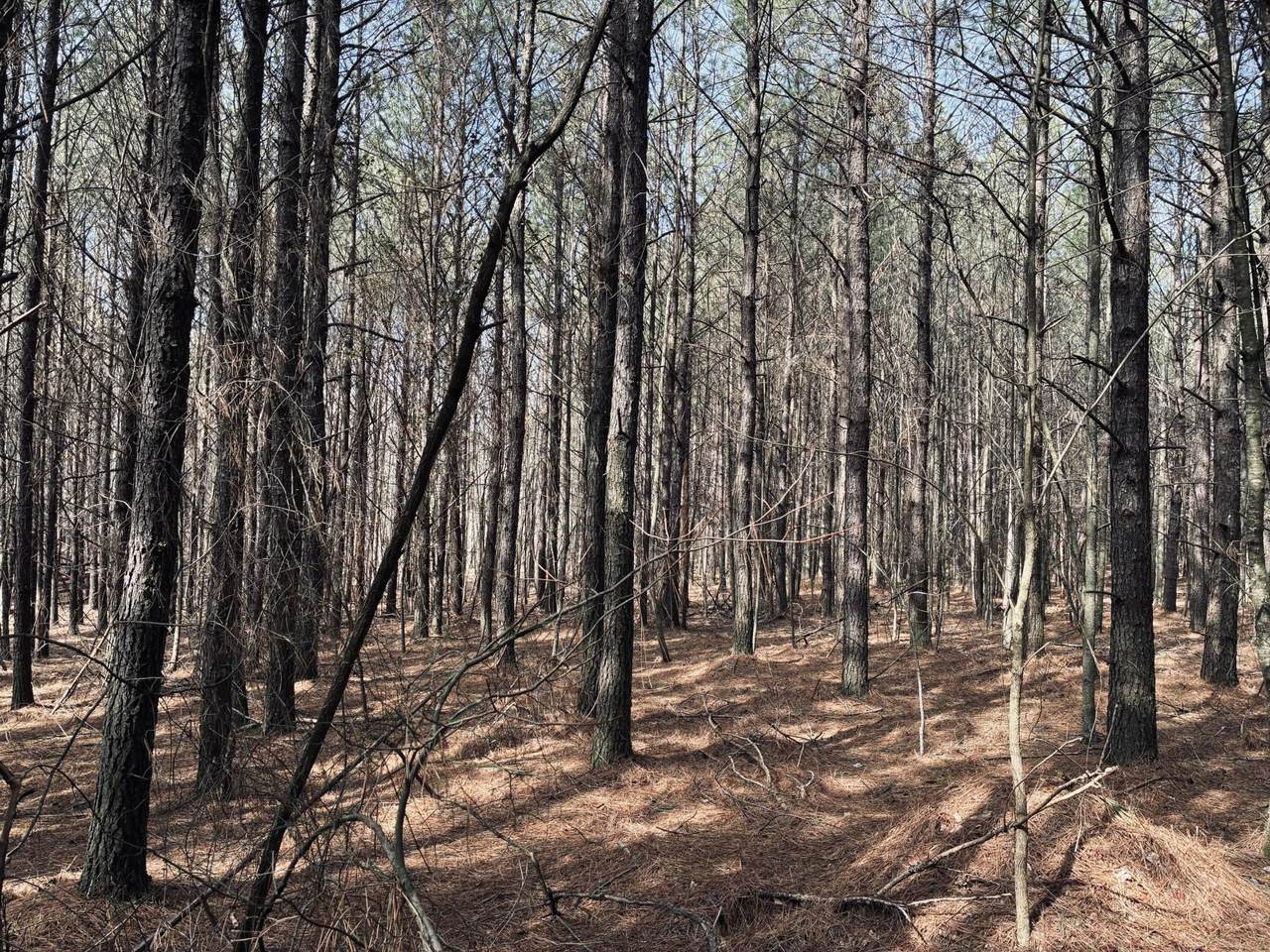 https://bt-photos.global.ssl.fastly.net/nashville/1280_boomver_2_RTC3136139-1.jpg