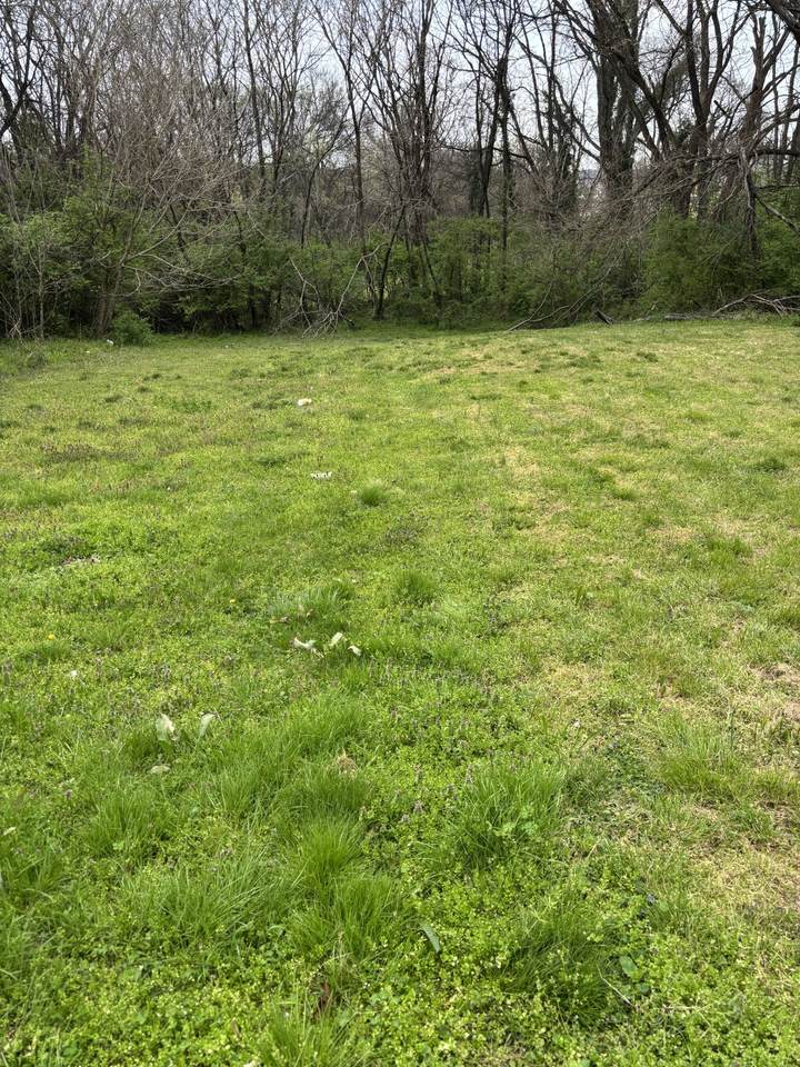 https://bt-photos.global.ssl.fastly.net/nashville/1280_boomver_2_RTC3145109-1.jpg
