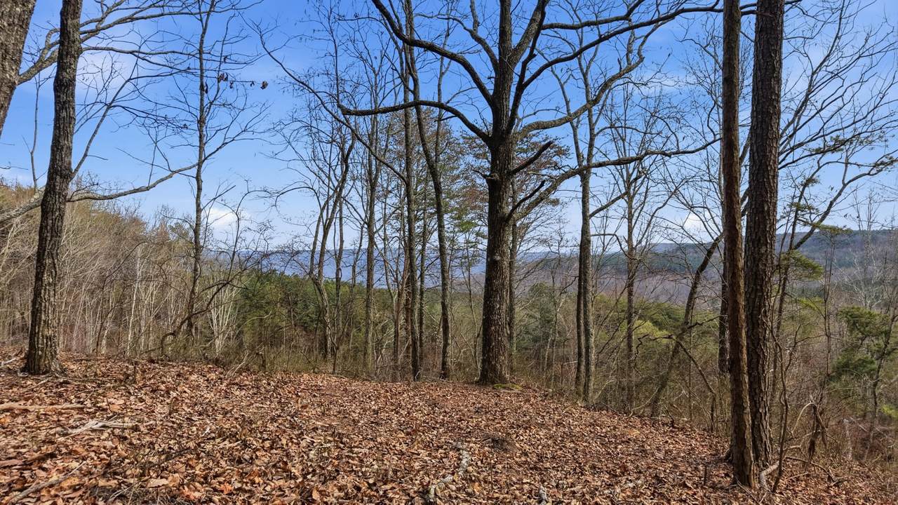 https://bt-photos.global.ssl.fastly.net/nashville/1280_boomver_2_RTC3145511-1.jpg