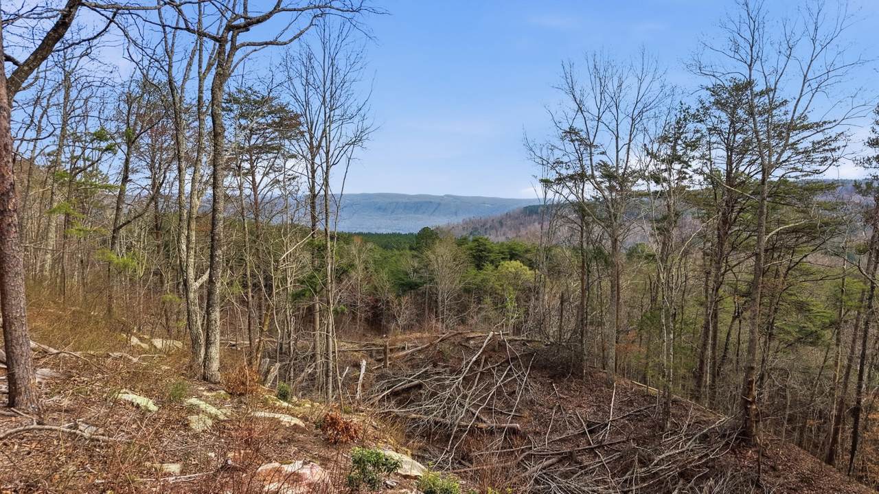 https://bt-photos.global.ssl.fastly.net/nashville/1280_boomver_2_RTC3145511-1.jpg