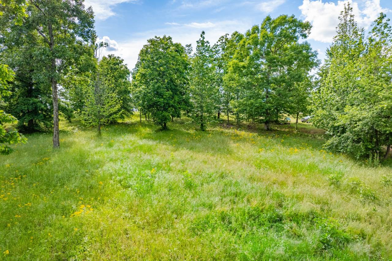 0 Wyshema Court - Photo 1