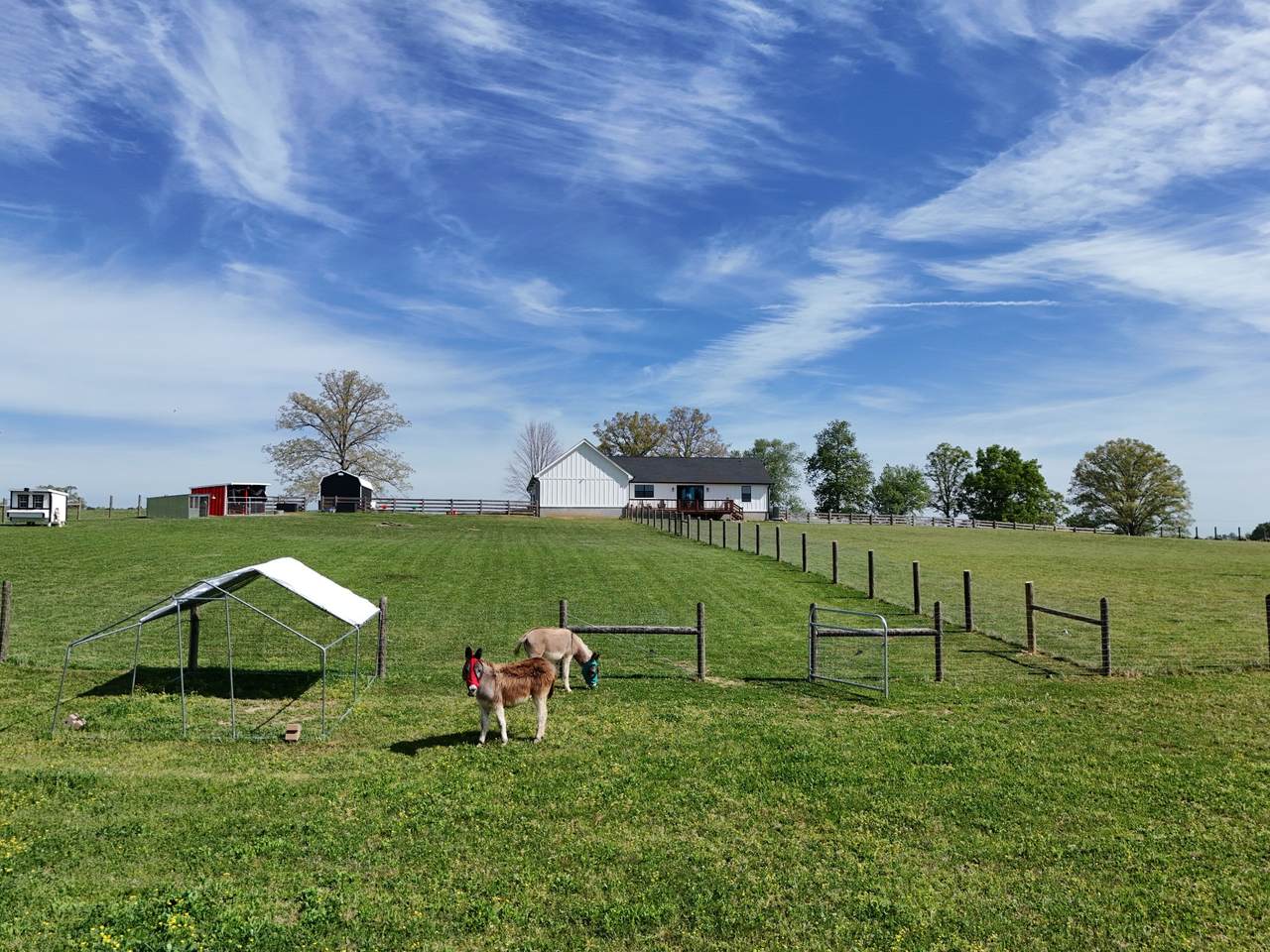 https://bt-photos.global.ssl.fastly.net/nashville/1280_boomver_2_RTC3146699-1.jpg