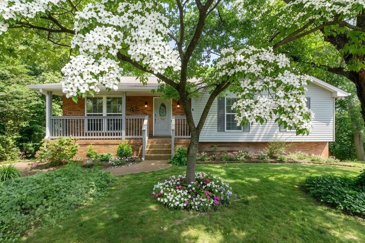 821 Luxemburg Dr - Photo 1