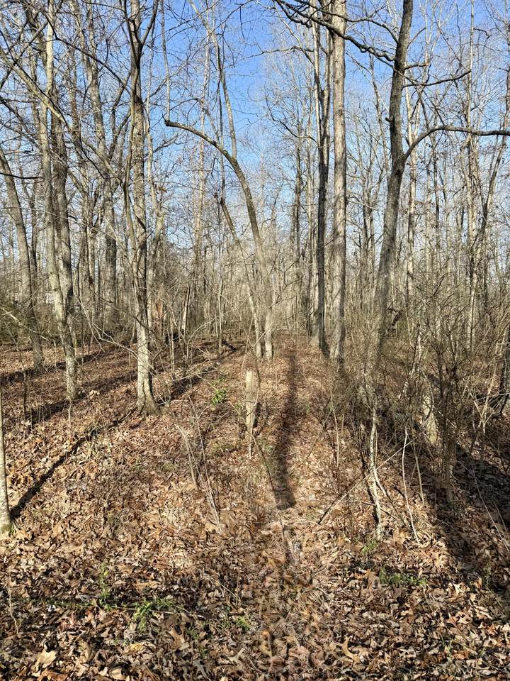 101 Antietam Rd - Photo 1