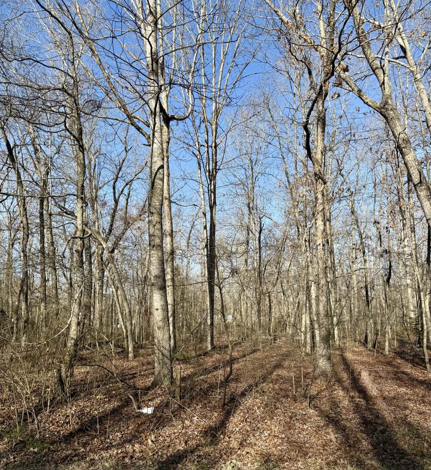 0 Antietam Rd - Photo 1