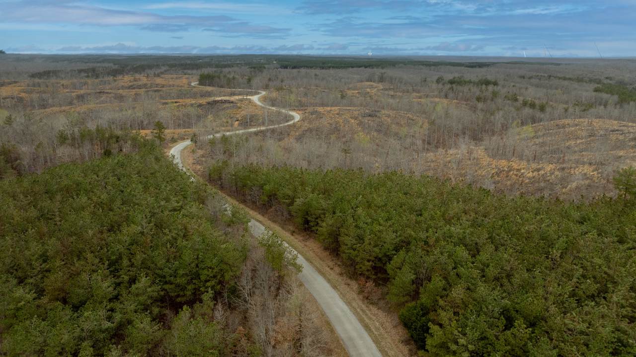 8072 Old Hohenwald Rd - Photo 1