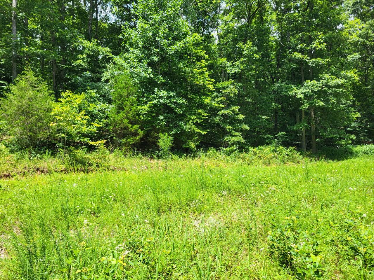 0 Mcdonald Loop - Photo 1