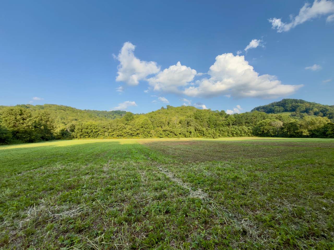 3780 Hurricane Creek Rd - Photo 1