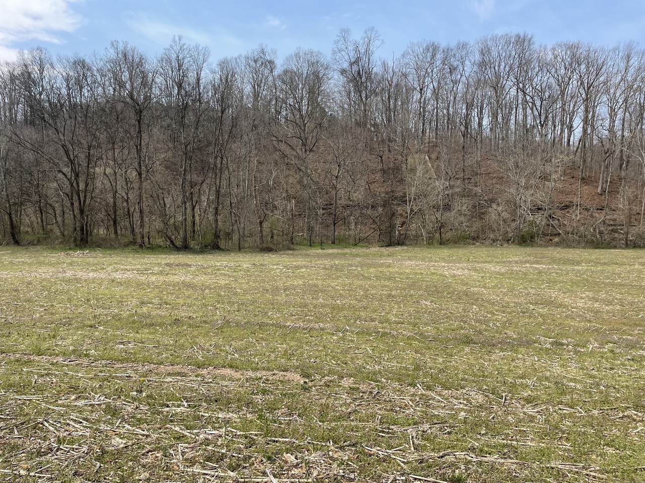 0 Dutch Creek Rd - Photo 1
