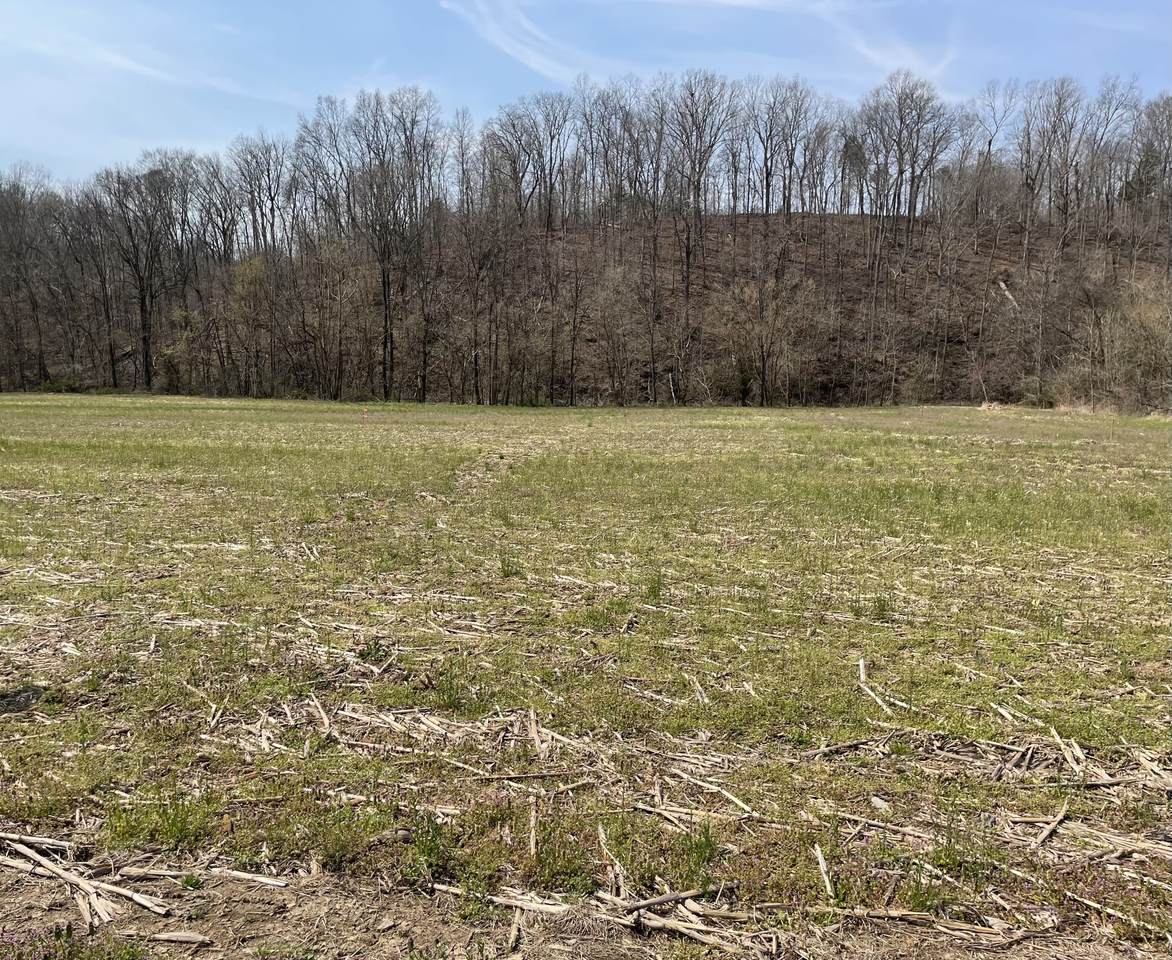 0 Dutch Creek Rd - Photo 1
