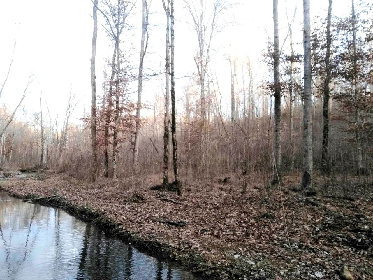 0 Deer Ridge - Photo 1