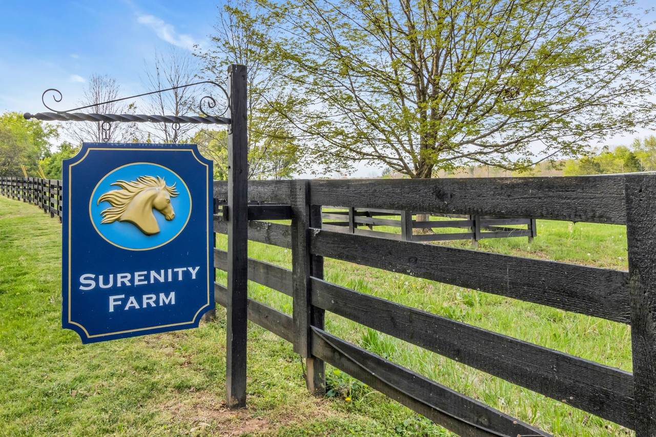 https://bt-photos.global.ssl.fastly.net/nashville/1280_boomver_2_RTC3155905-1.jpg