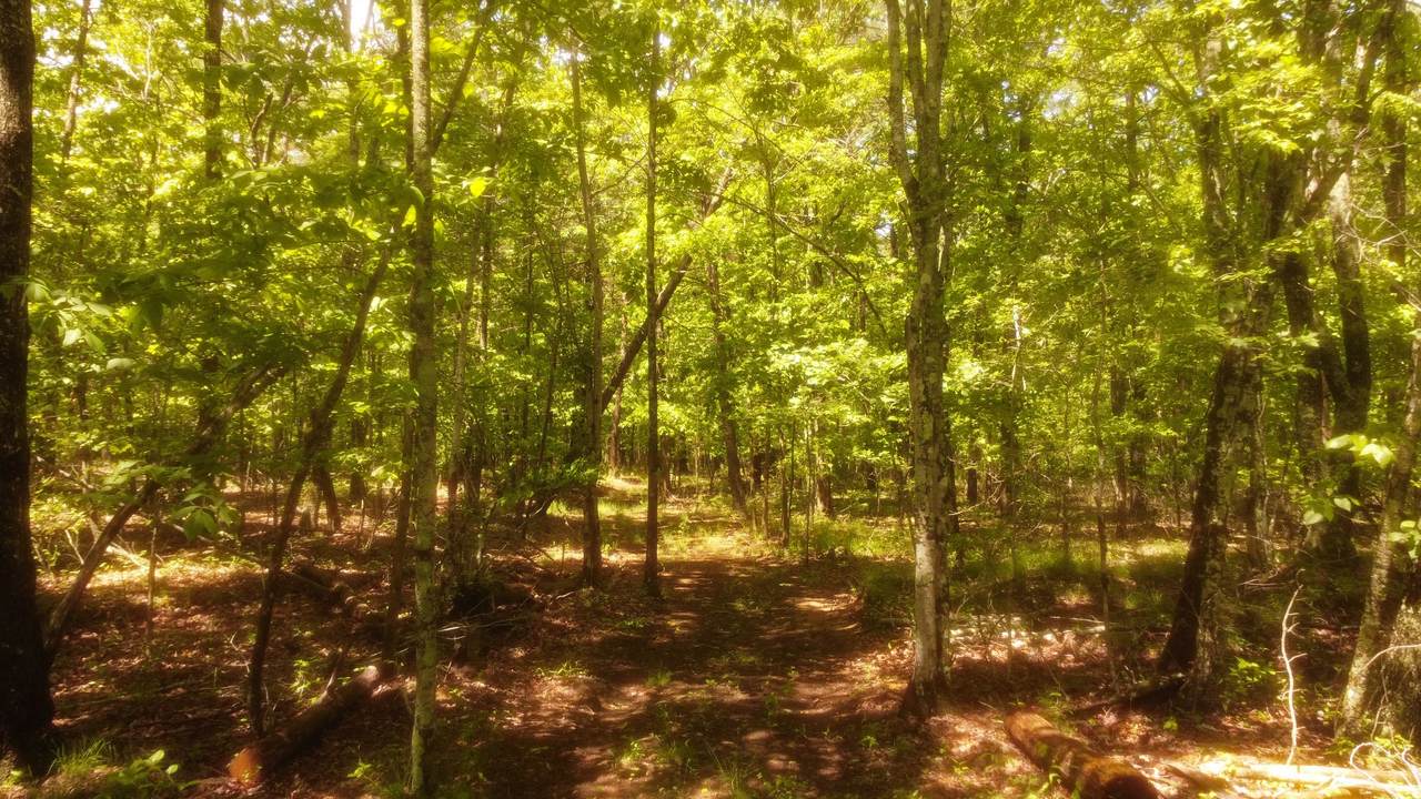 https://bt-photos.global.ssl.fastly.net/nashville/1280_boomver_2_RTC3163556-1.jpg