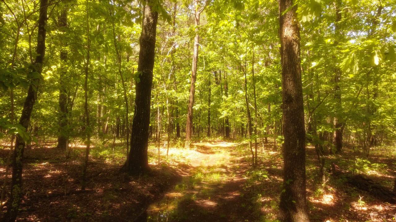 https://bt-photos.global.ssl.fastly.net/nashville/1280_boomver_2_RTC3163556-1.jpg