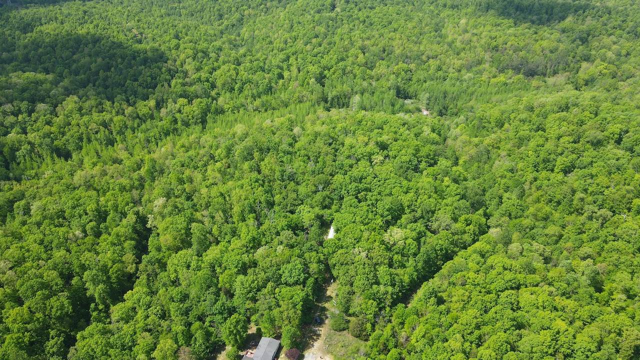 578 Cyclone Ln - Photo 1