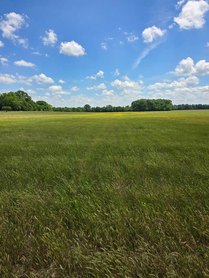 0 Shoemaker Rd - Photo 1