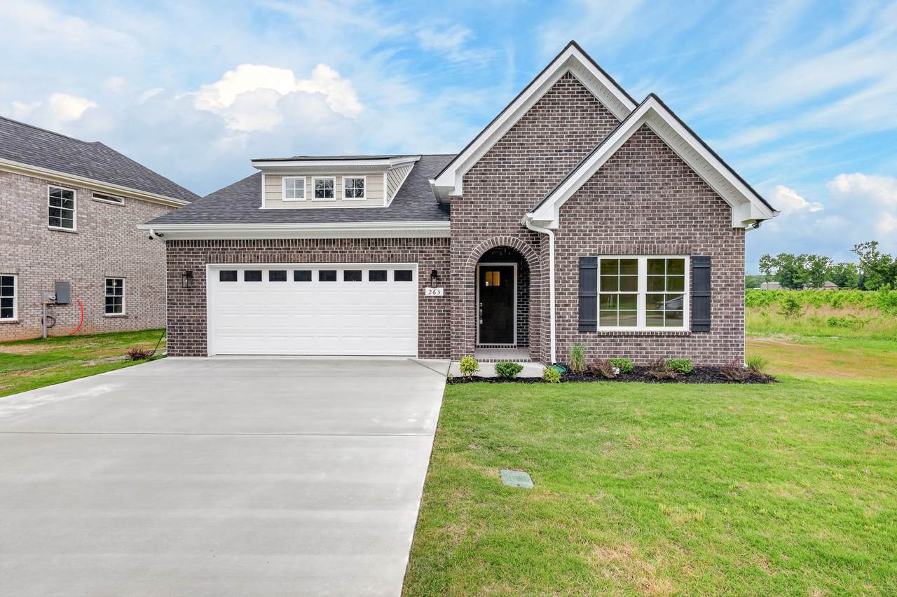 263 N Fork Branch Rd - Photo 1