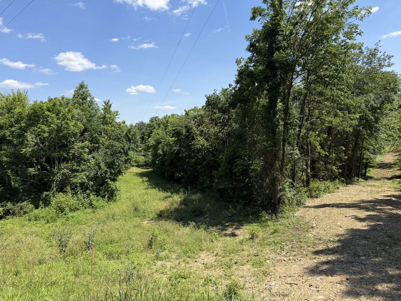 0 City Park Rd - Photo 1