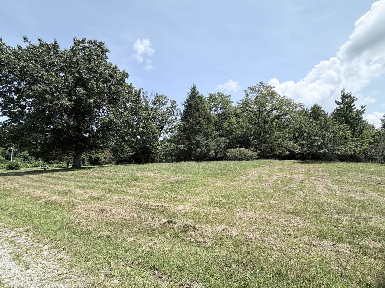 10345 Us 41 - Photo 1