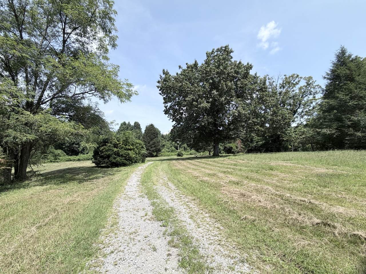 https://bt-photos.global.ssl.fastly.net/nashville/1280_boomver_2_RTC3229611-1.jpg