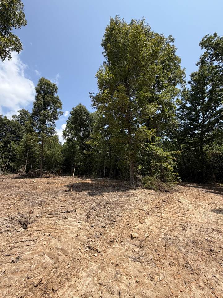 0 Furnace Hollow Road - Photo 1