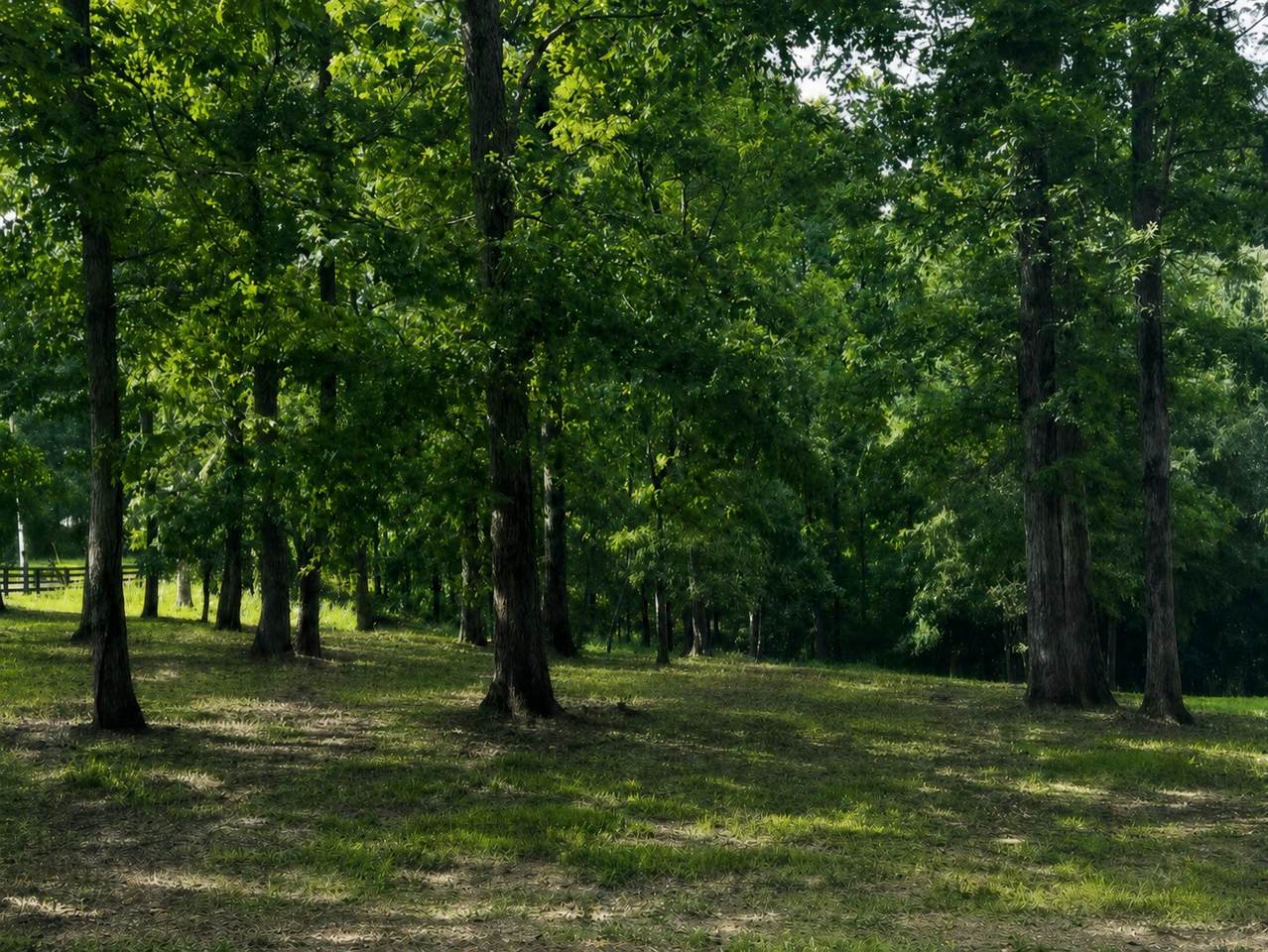 https://bt-photos.global.ssl.fastly.net/nashville/1280_boomver_2_RTC3232460-1.jpg