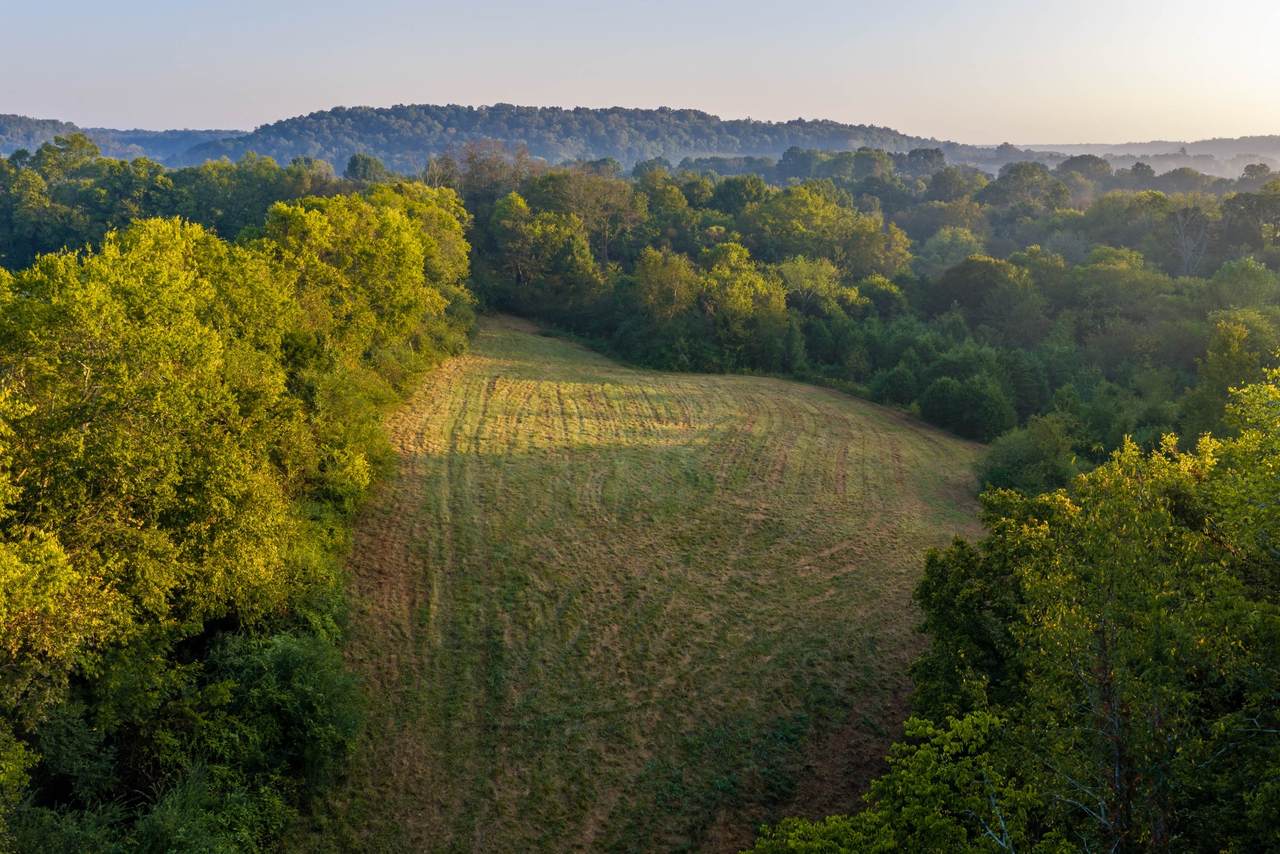 https://bt-photos.global.ssl.fastly.net/nashville/1280_boomver_2_RTC3233164-1.jpg