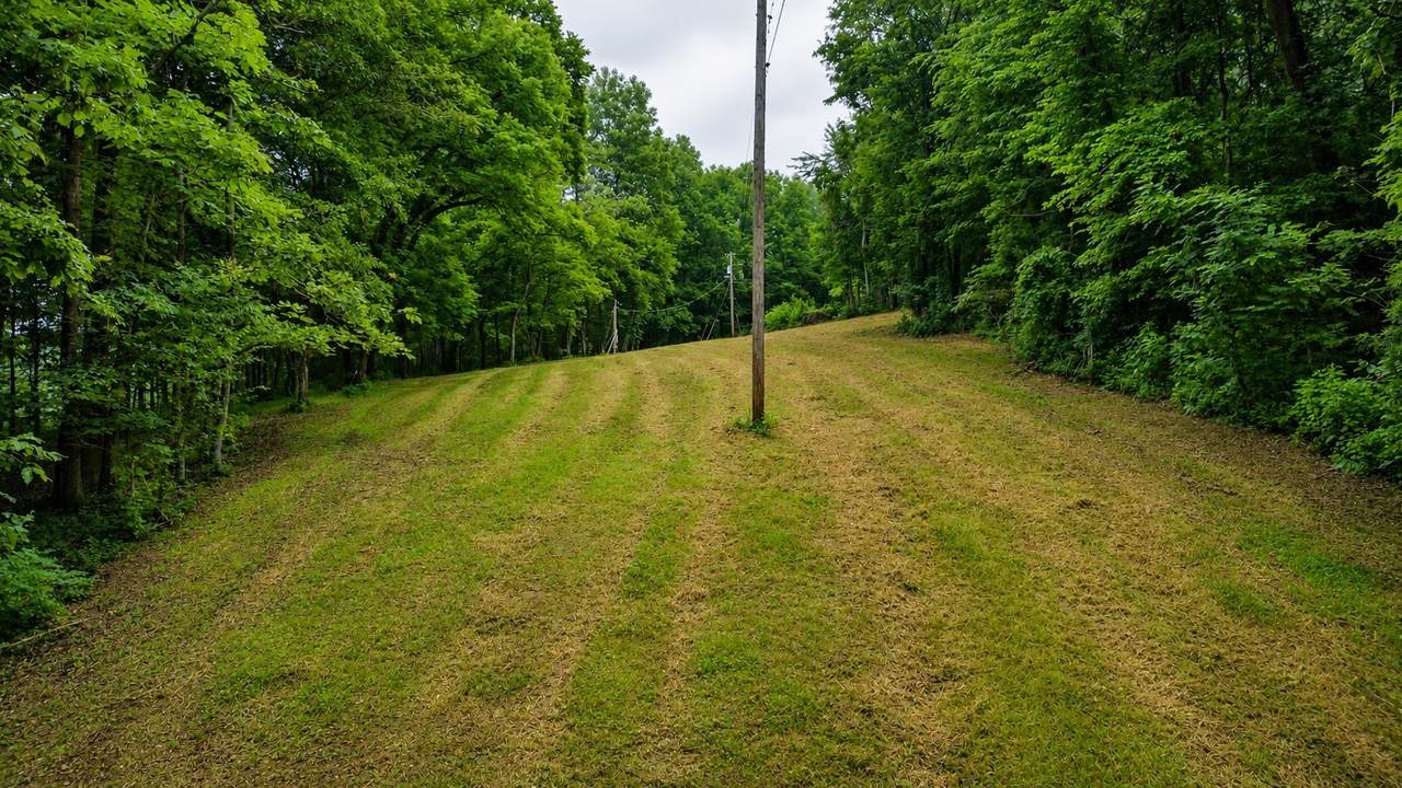 1299 Dixon Town Rd - Photo 1