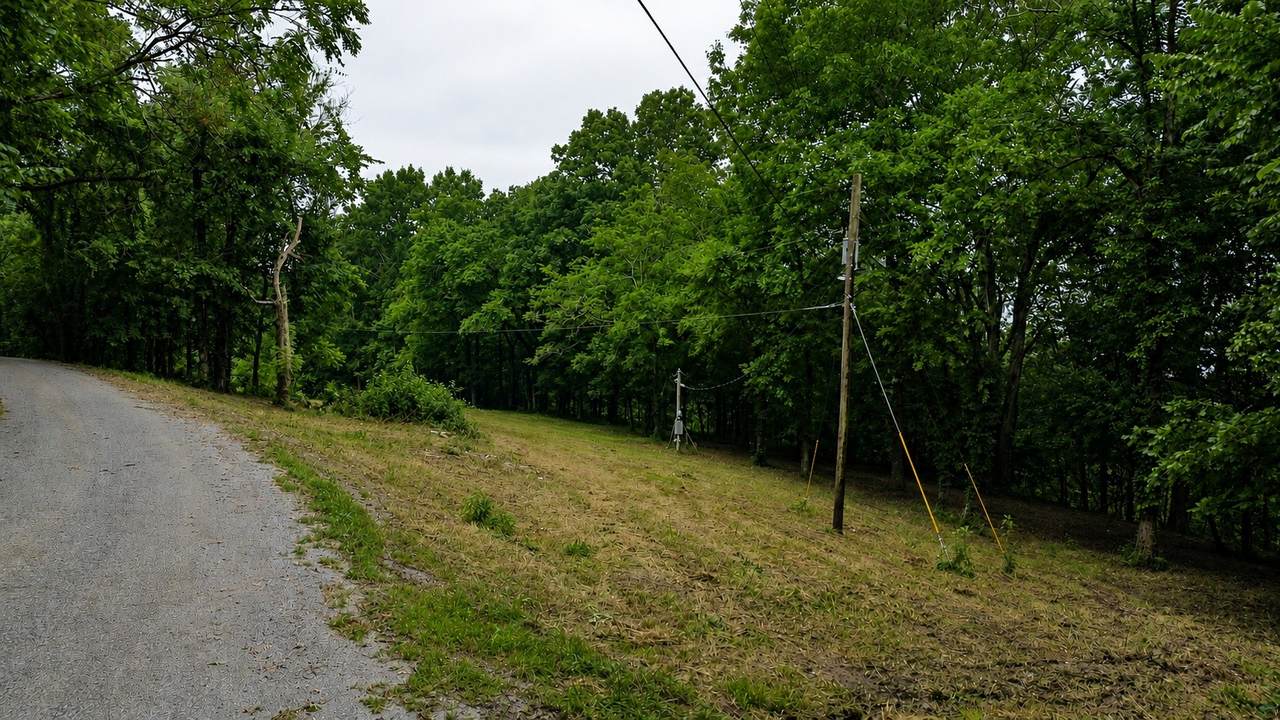 https://bt-photos.global.ssl.fastly.net/nashville/1280_boomver_2_RTC3234597-1.jpg