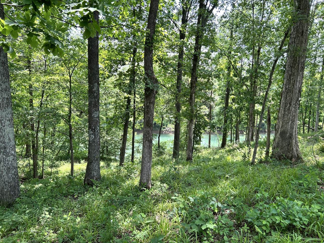 https://bt-photos.global.ssl.fastly.net/nashville/1280_boomver_2_RTC3243728-1.jpg