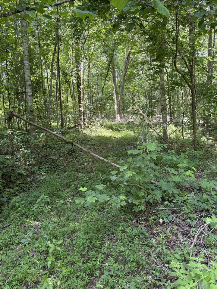 0 Wilderness Lane - Photo 1