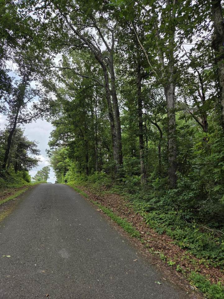 0 Co Rd 156 - Photo 1