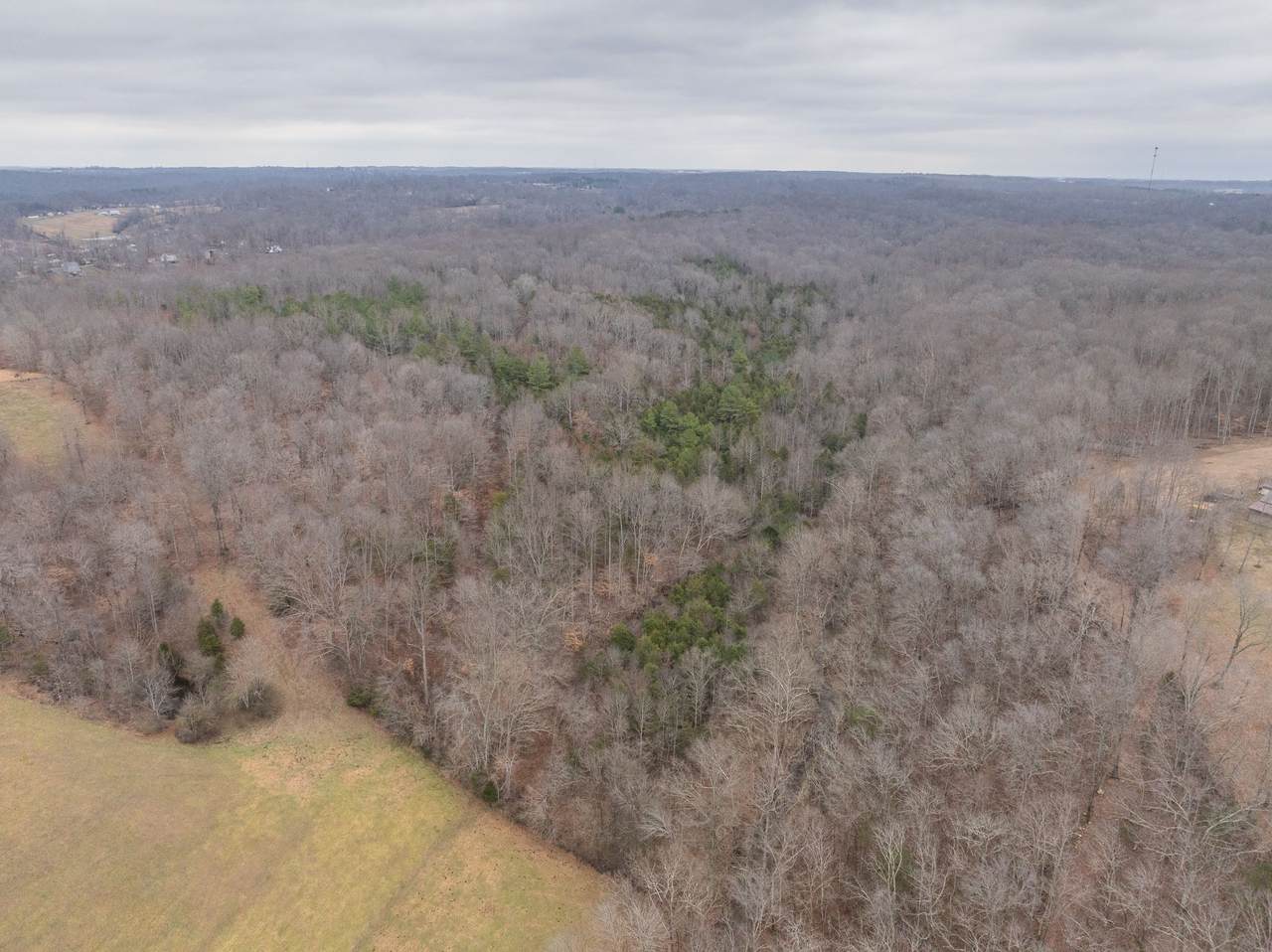 0 Wiley Branch Road - Photo 1