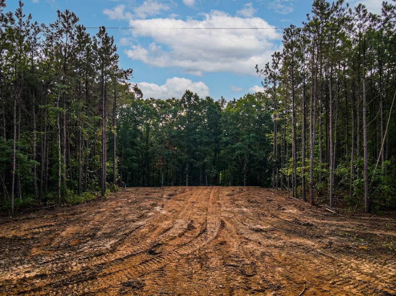 0 Brush Creek Rd - Photo 1