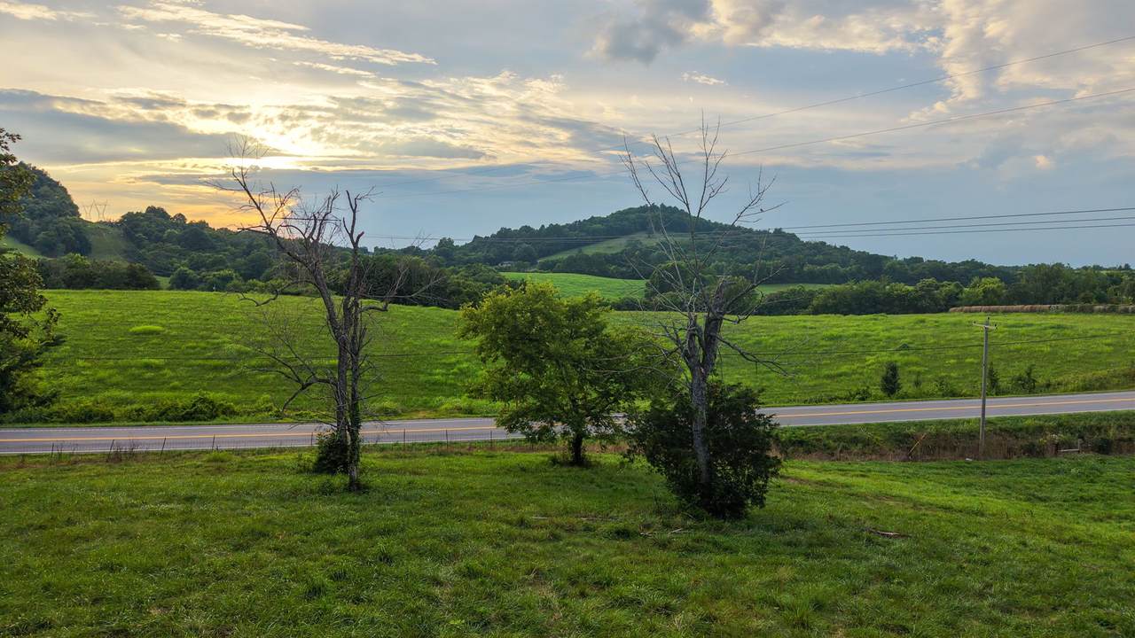 0 Highway 231 South - Photo 1