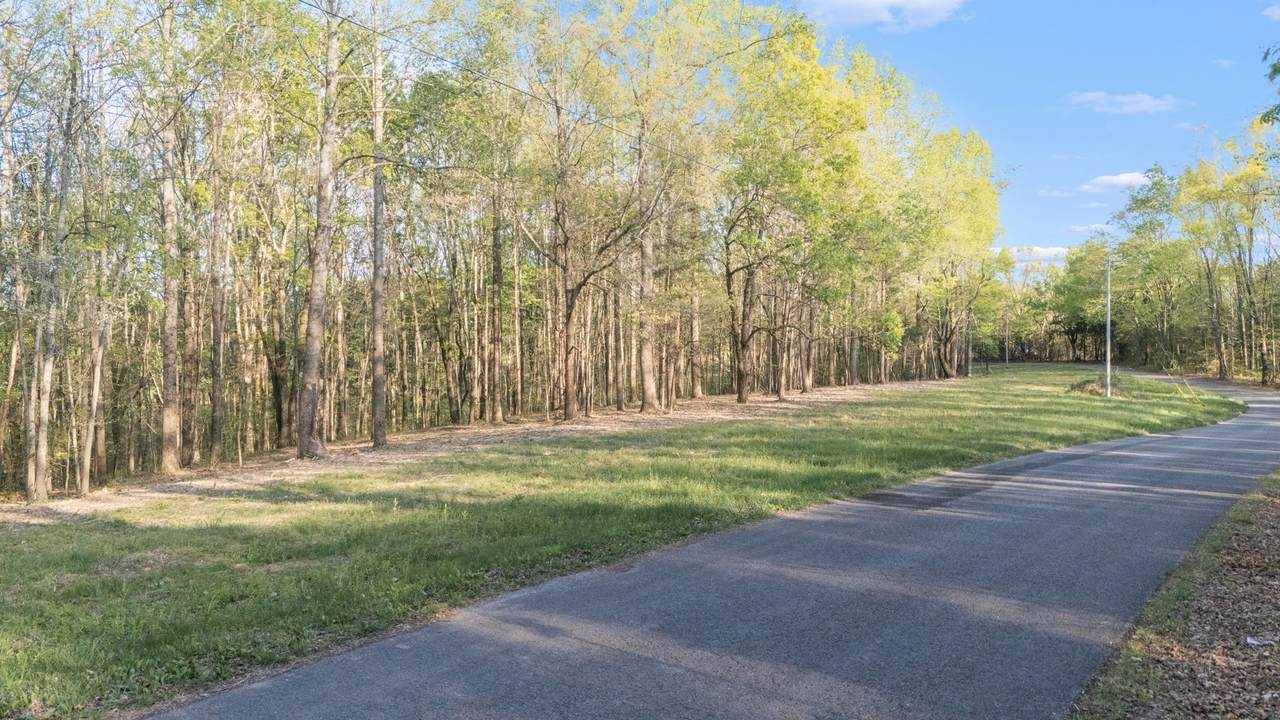 6 Rippy Ridge Rd - Photo 1