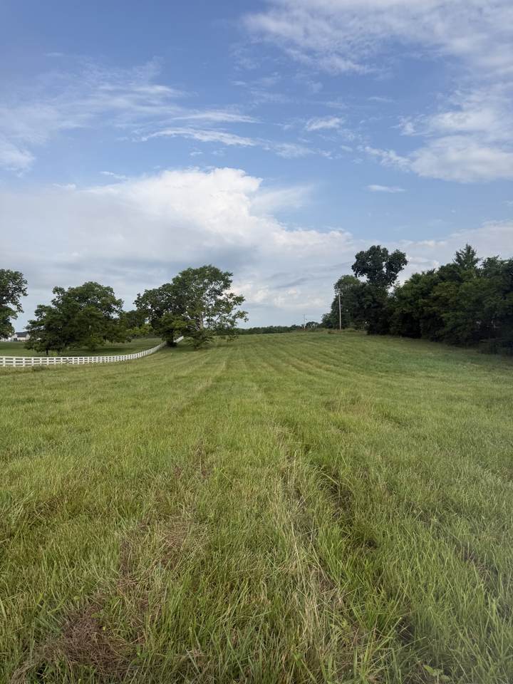 0 Chapel Hill Pike - Photo 1