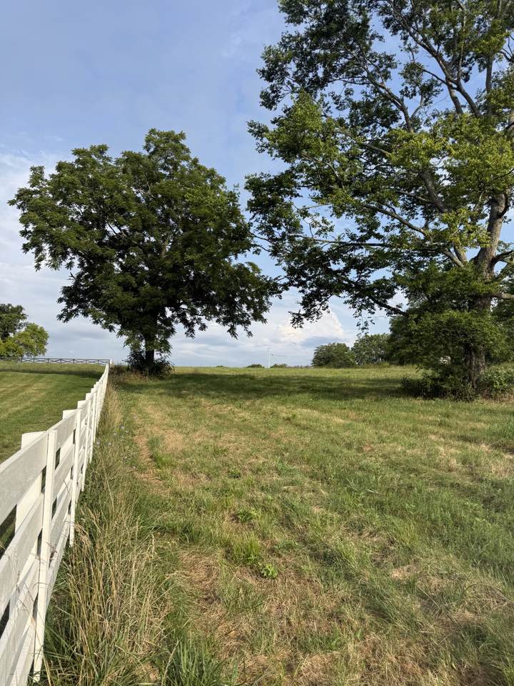https://bt-photos.global.ssl.fastly.net/nashville/1280_boomver_2_RTC3269937-1.jpg