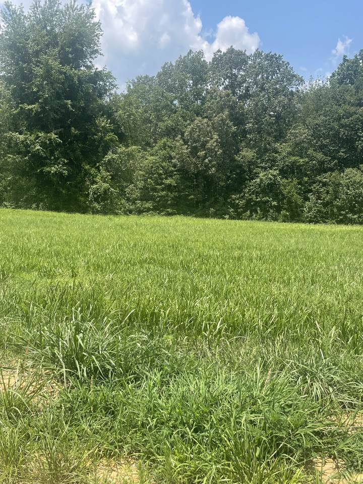 0 Summer Lake - Photo 1