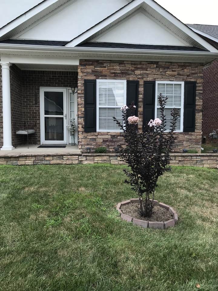 https://bt-photos.global.ssl.fastly.net/nashville/1280_boomver_2_RTC3285454-1.jpg