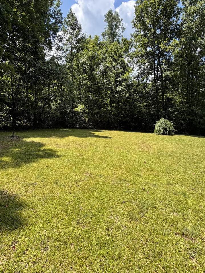 https://bt-photos.global.ssl.fastly.net/nashville/1280_boomver_3_RTC3285643-1.jpg