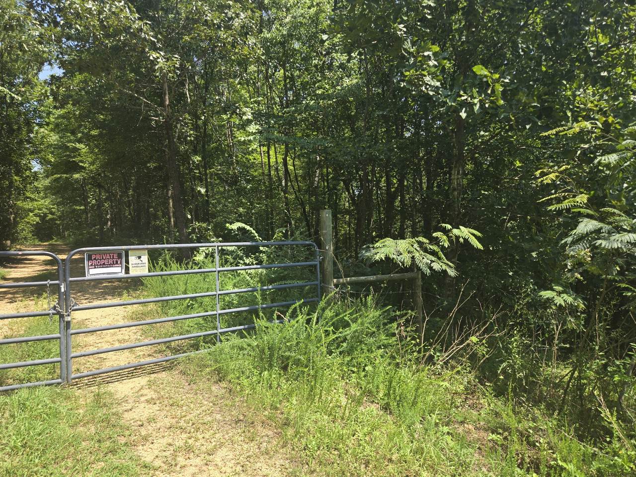 https://bt-photos.global.ssl.fastly.net/nashville/1280_boomver_2_RTC3285665-1.jpg